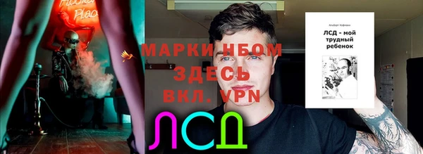 ПСИЛОЦИБИНОВЫЕ ГРИБЫ Алексин