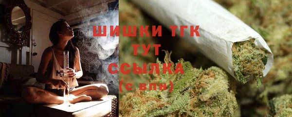 дмт Алзамай